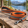 qivxunel Gray & Orange Padded-Handle Dog Leash — outdoor product scene
